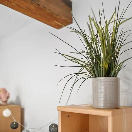 Apartment Lovely In With Wifi
