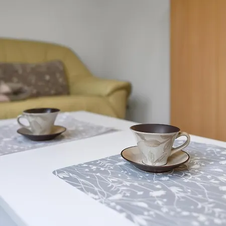 Apartment Lovely In With Wifi Kargow